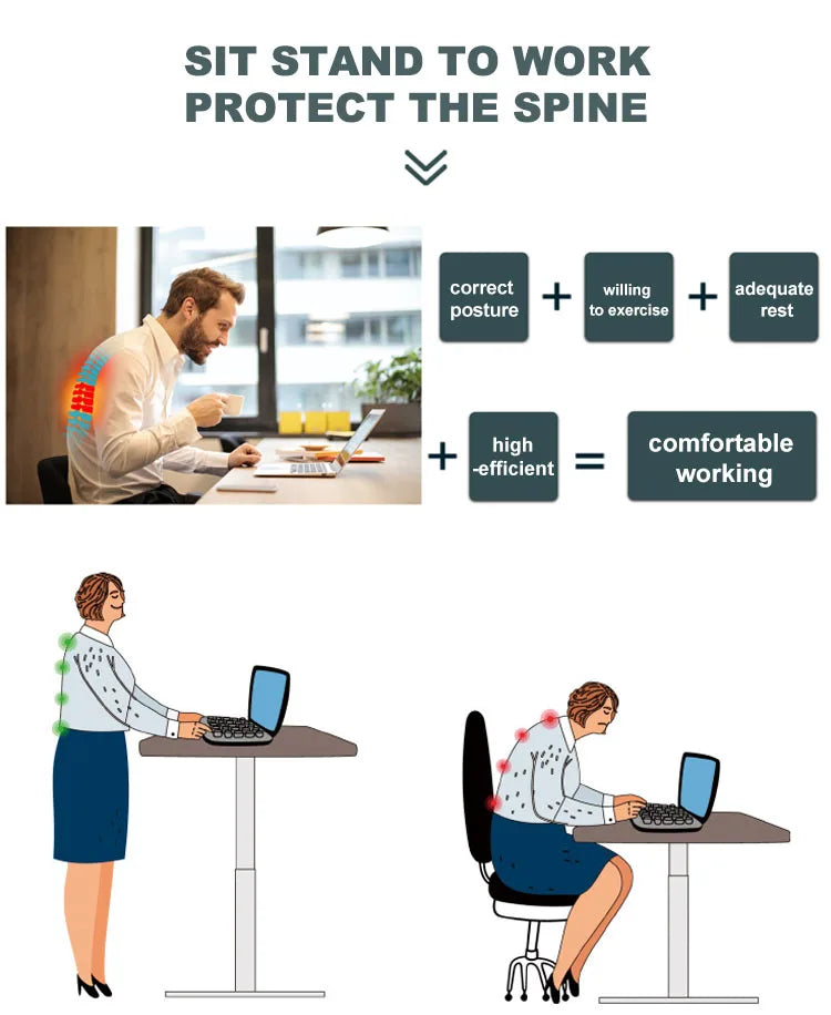 Orvena Economic Modern Ergonomic Electric Standing Desk Motorized Height Adjustable Extendable Durable Eco-Friendly 60KG Load Office