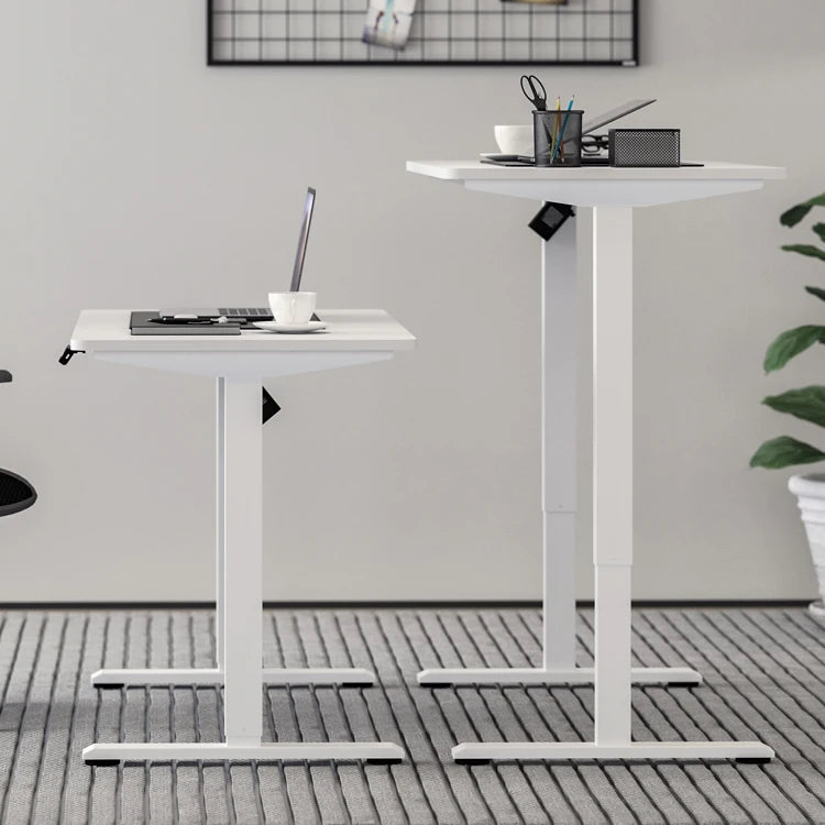 Orvena Economic Modern Ergonomic Electric Standing Desk Motorized Height Adjustable Extendable Durable Eco-Friendly 60KG Load Office